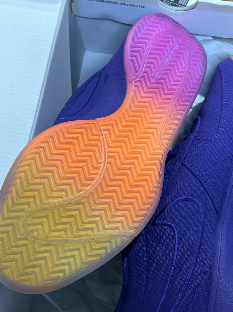 Nike Book 1 Basketball Shoes (HJ5351-500, Court Purple/Taupe Grey/Sundial/Total Orange) Size 9