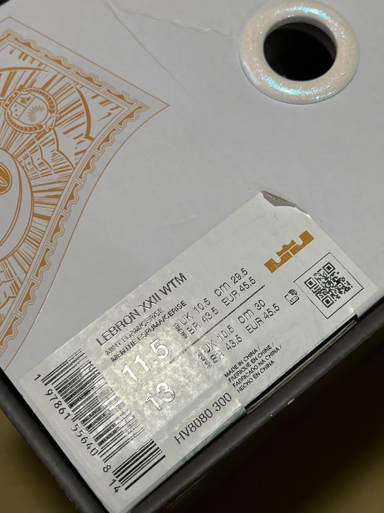 Lebron XXII What The Currency Basketball Shoes (HV8080-300, Mint Foam/Light Lemon Twist/Aquarius Blue/Cerise)