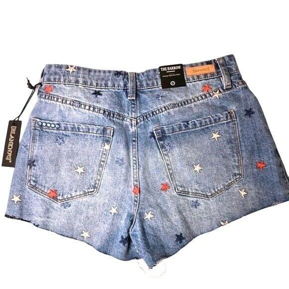 Blanknyc Star Embroidered Denim Shorts in Born In The Usa