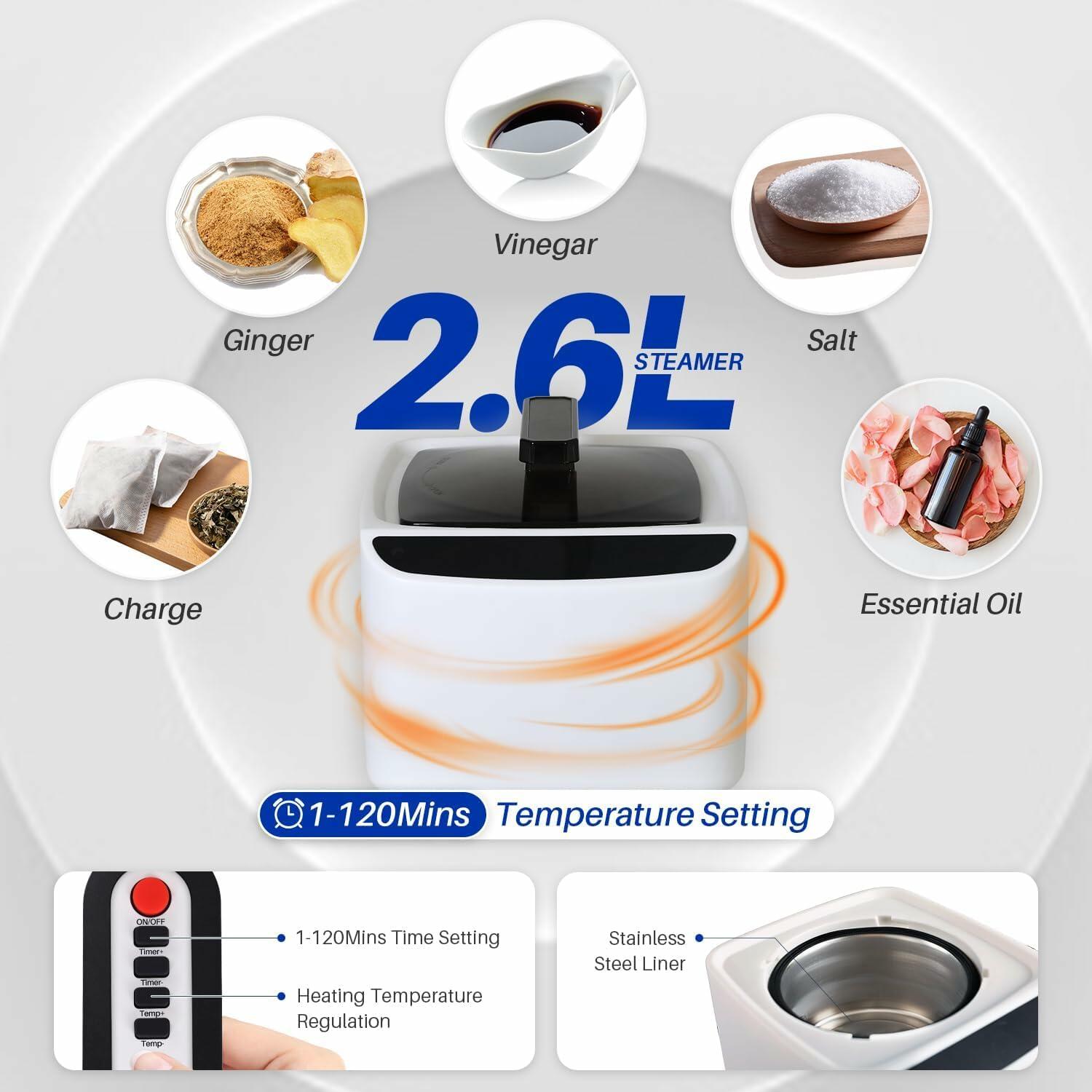 TOREAD Portable Steam Sauna Tent for Home, Full Size Sauna Box Portable Sauna